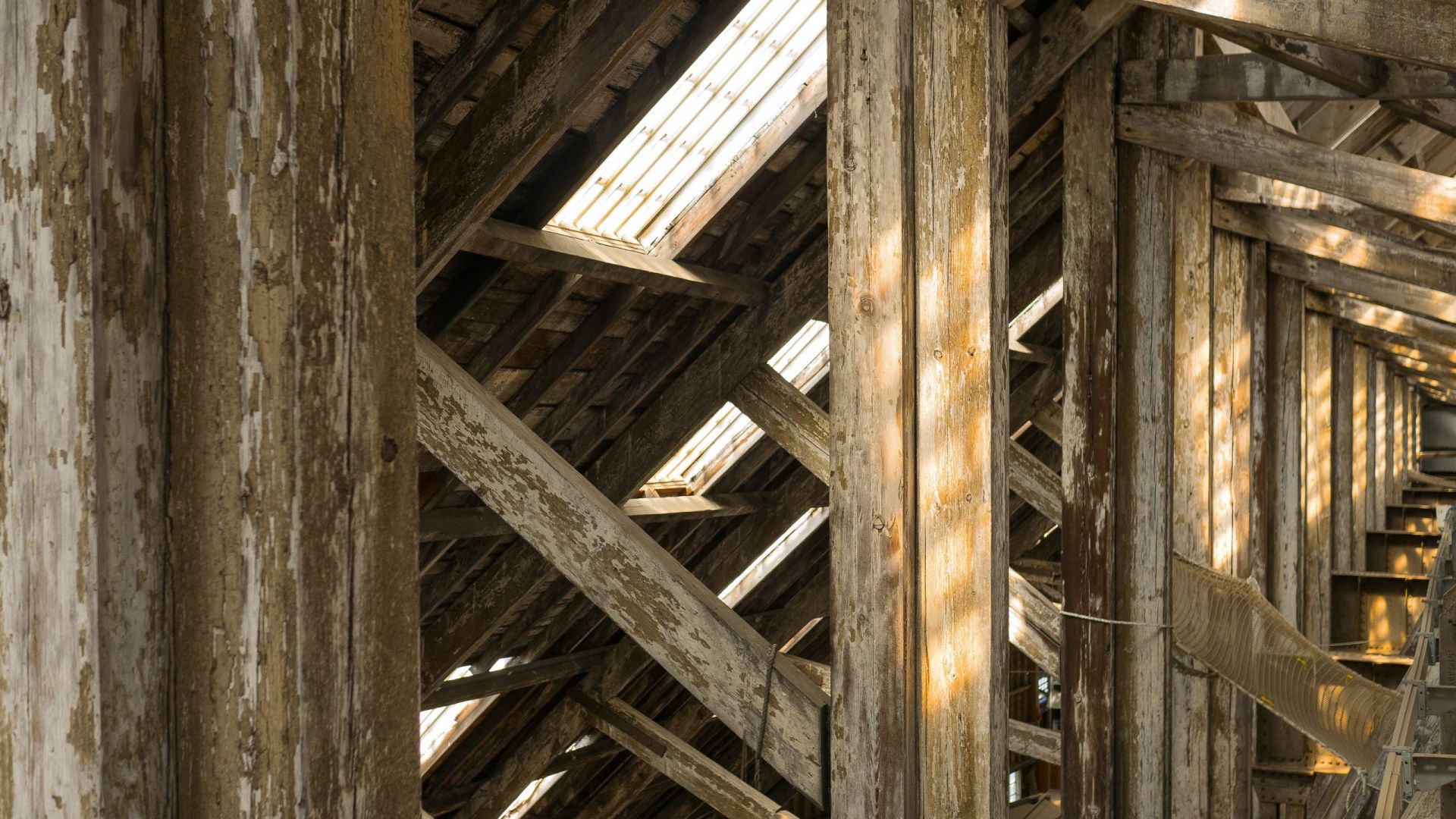 Timber Construction – The solution for a more sustainable building sector?